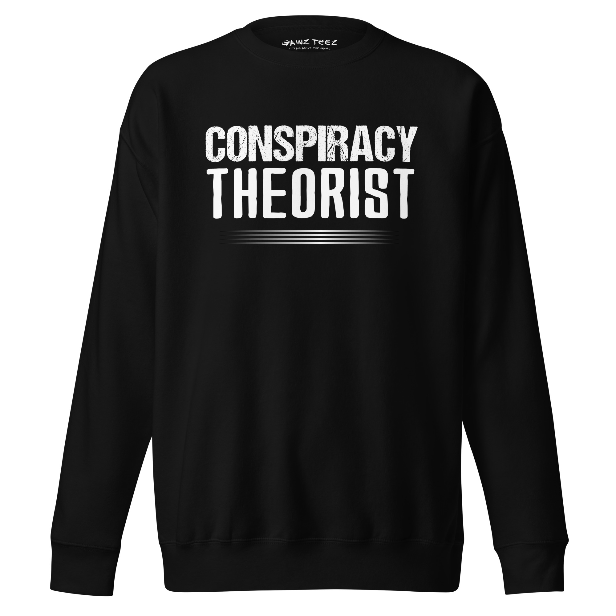 Conspiracy Theorist Unisex Premium Sweatshirt